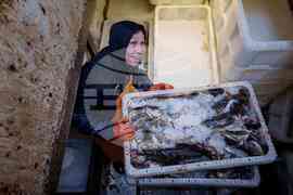 Greenland Climate Fishing