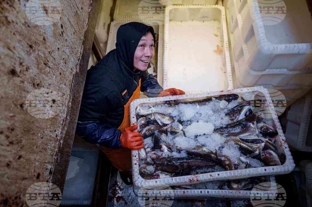 Greenland Climate Fishing