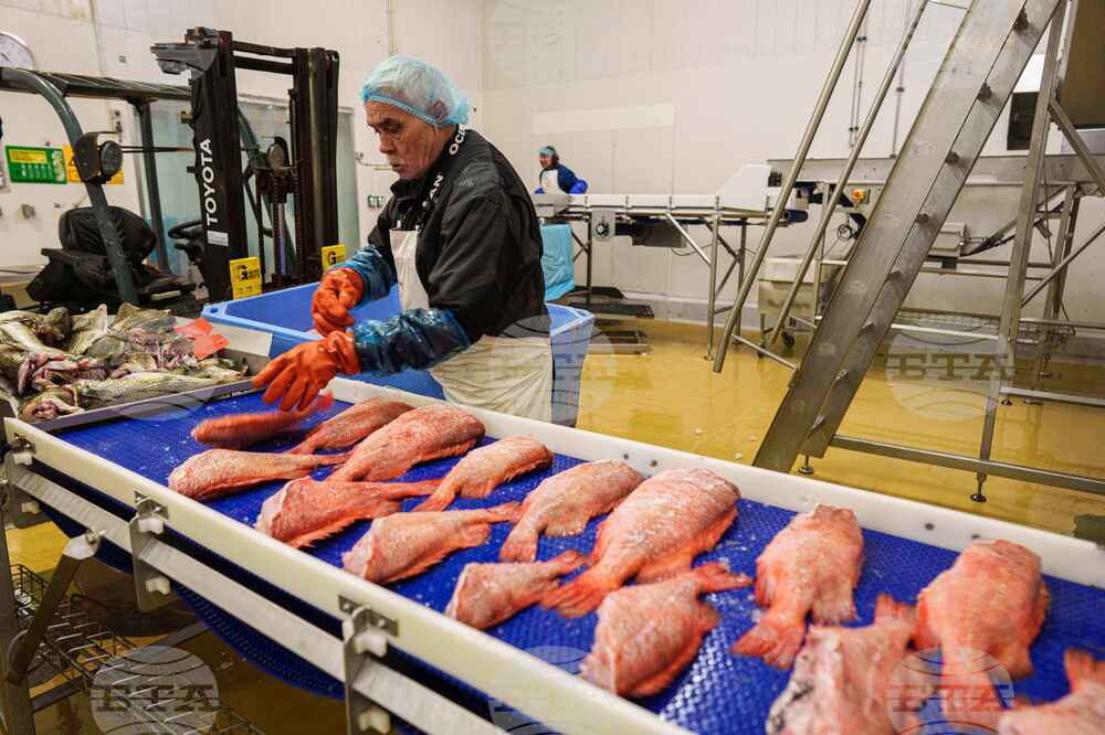 Greenland Climate Fishing