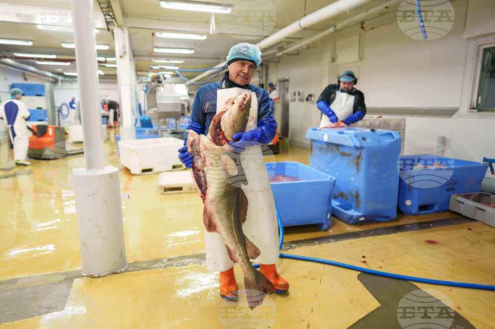 Greenland Climate Fishing