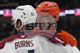 Avalanche Ducks Hockey