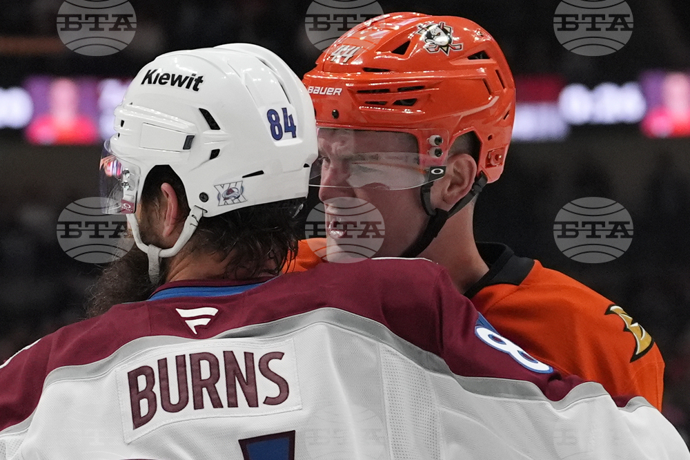 Avalanche Ducks Hockey