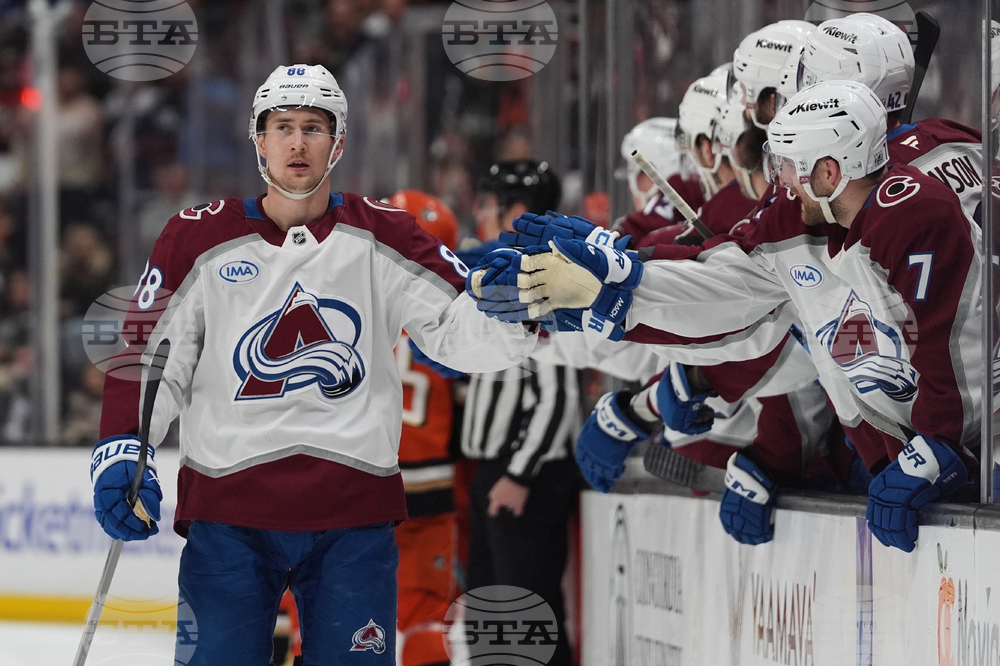 Avalanche Ducks Hockey