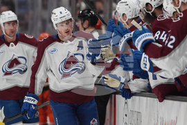 Avalanche Ducks Hockey