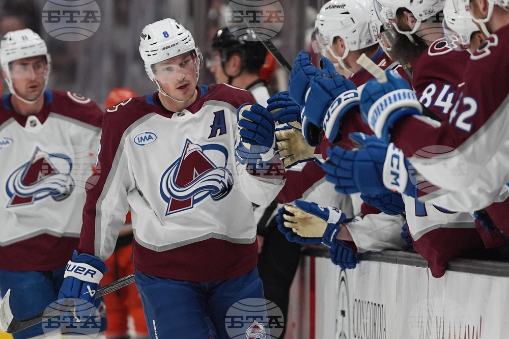 Avalanche Ducks Hockey