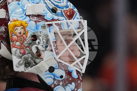 Avalanche Ducks Hockey