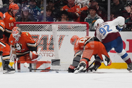 Avalanche Ducks Hockey