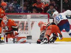 Avalanche Ducks Hockey