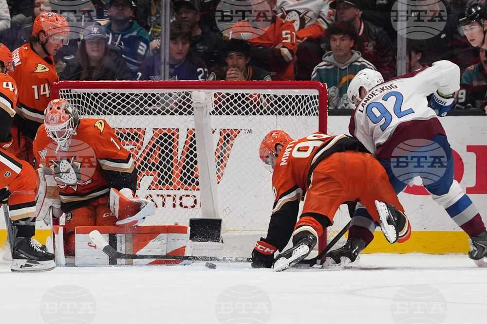 Avalanche Ducks Hockey