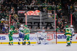 Lightning Wild Hockey