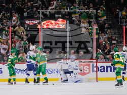 Lightning Wild Hockey