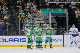 Lightning Wild Hockey