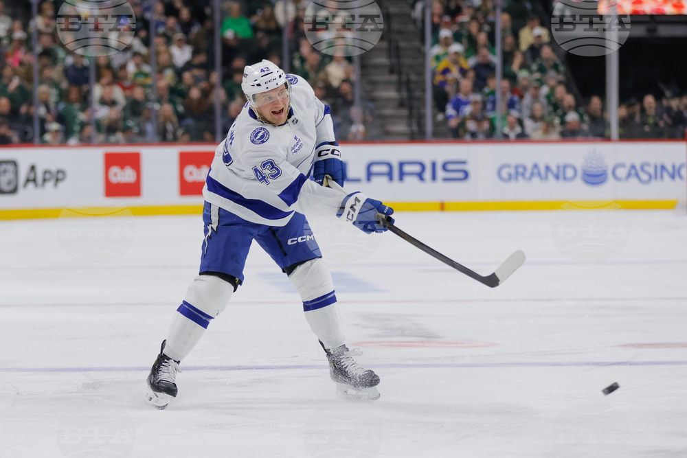 Lightning Wild Hockey