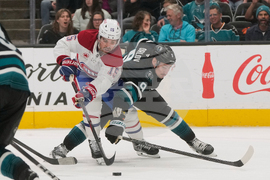 Canadiens Sharks Hockey