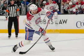 Canadiens Sharks Hockey