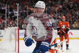 Avalanche Ducks Hockey