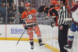 Avalanche Ducks Hockey