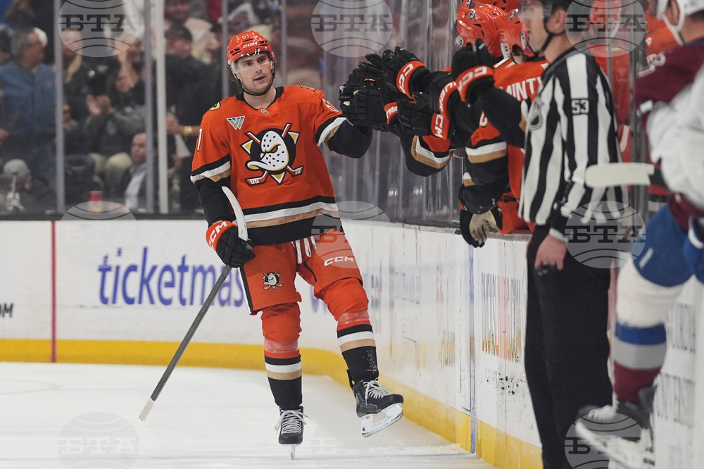 Avalanche Ducks Hockey