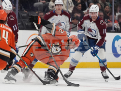 Avalanche Ducks Hockey