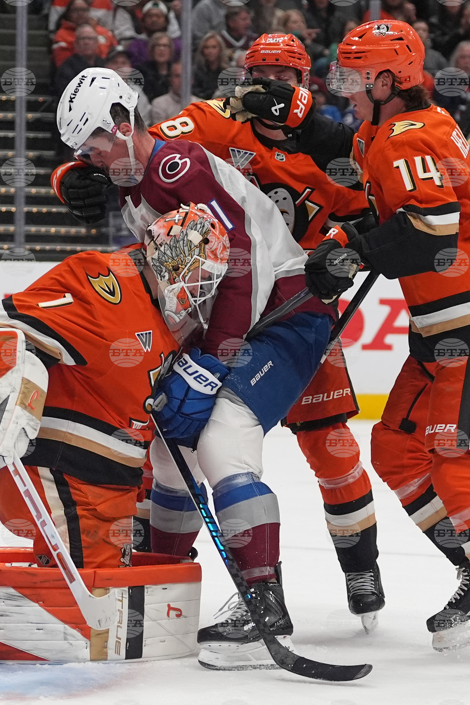 Avalanche Ducks Hockey