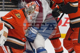 Avalanche Ducks Hockey