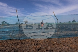 Africa TikTok Agriculture