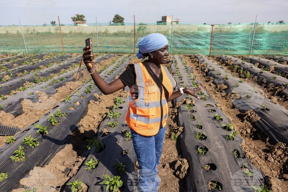 Africa TikTok Agriculture