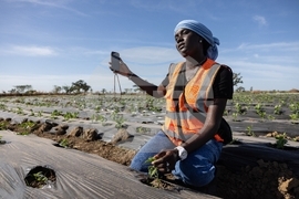 Africa TikTok Agriculture