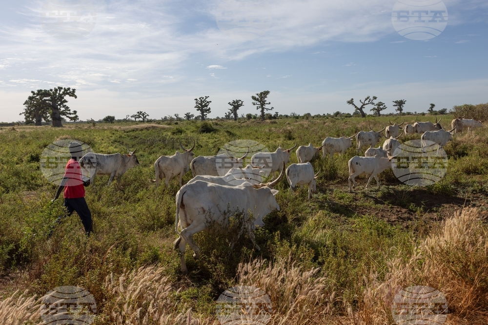 Africa TikTok Agriculture