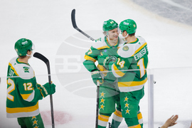 Lightning Wild Hockey