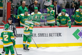 Lightning Wild Hockey