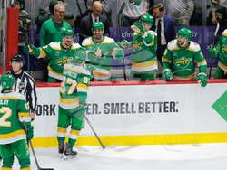 Lightning Wild Hockey