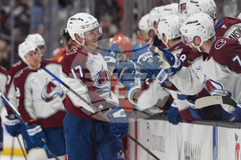 Avalanche Ducks Hockey