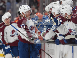 Avalanche Ducks Hockey