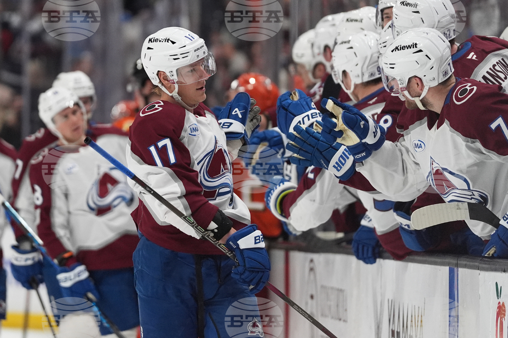 Avalanche Ducks Hockey