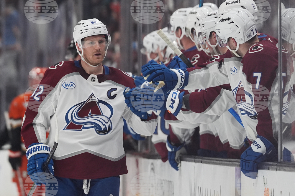 Avalanche Ducks Hockey