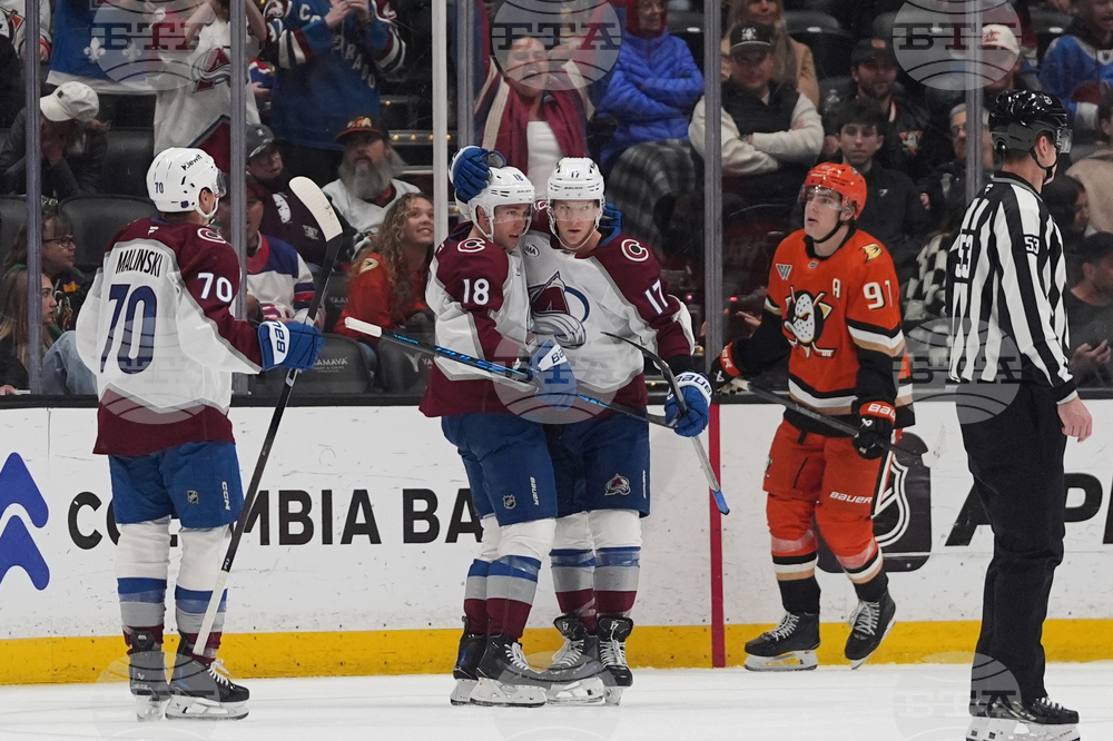 Avalanche Ducks Hockey