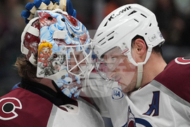 Avalanche Ducks Hockey