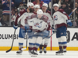 Avalanche Ducks Hockey
