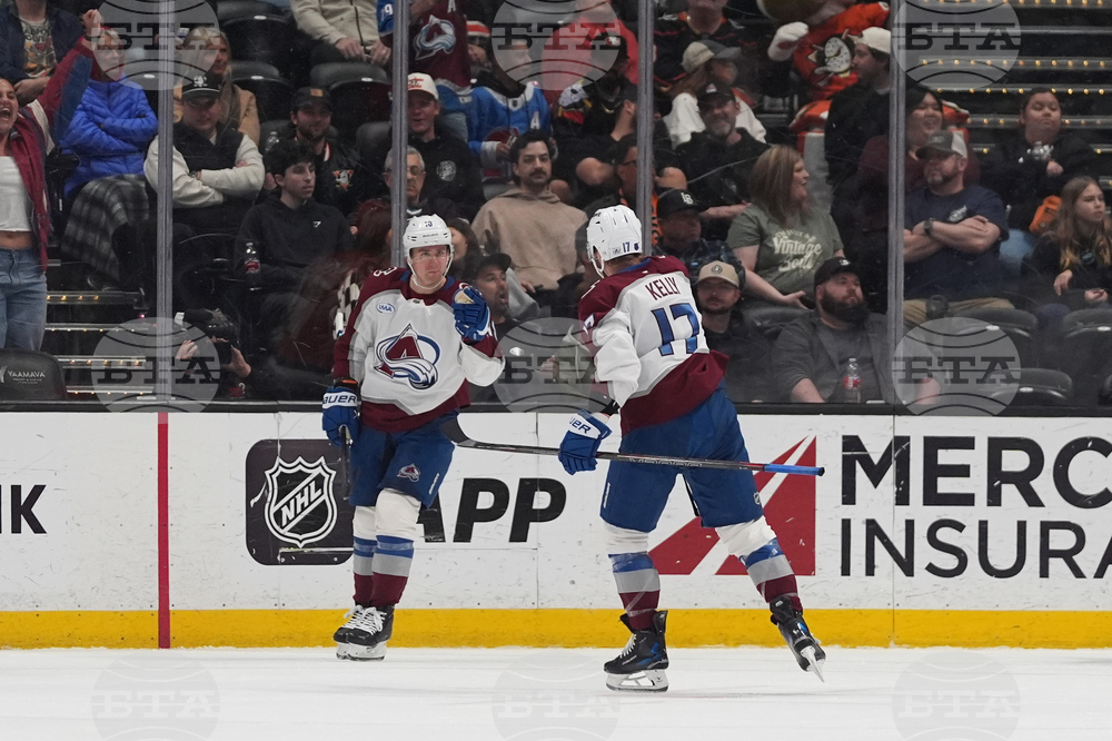 Avalanche Ducks Hockey