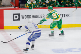 Lightning Wild Hockey