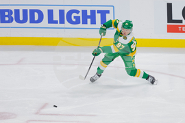 Lightning Wild Hockey