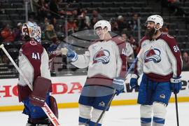 Avalanche Ducks Hockey