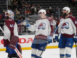 Avalanche Ducks Hockey