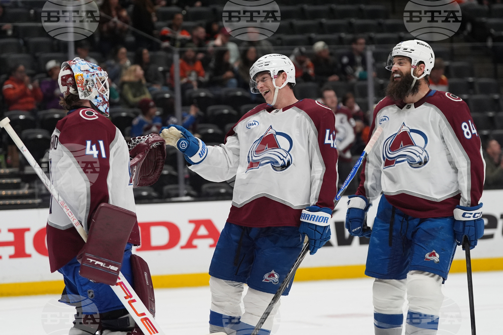 Avalanche Ducks Hockey