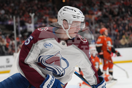 Avalanche Ducks Hockey