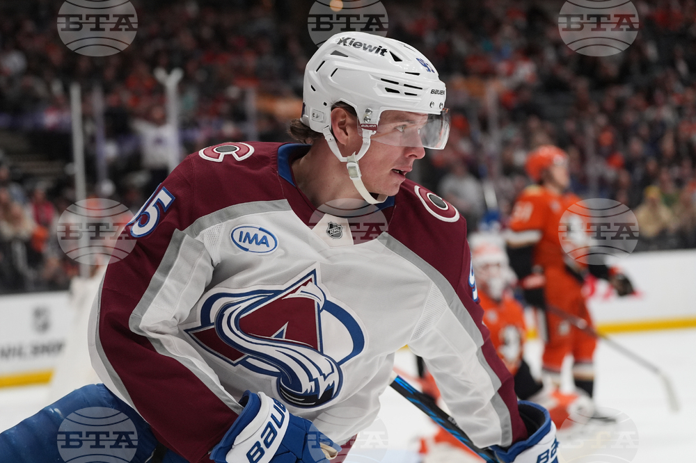 Avalanche Ducks Hockey