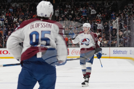 Avalanche Ducks Hockey