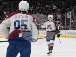 Avalanche Ducks Hockey