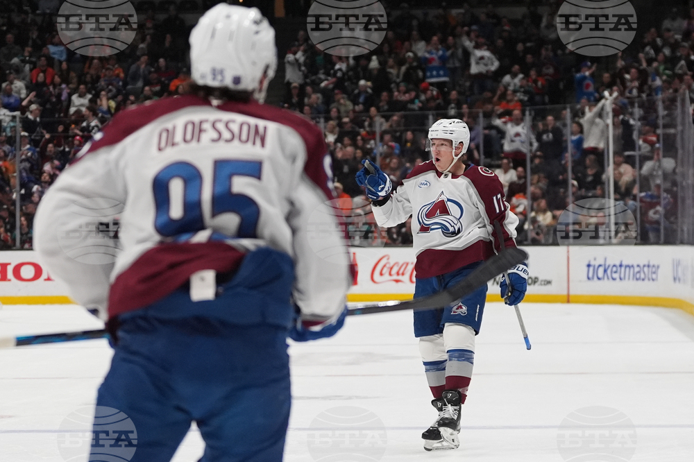 Avalanche Ducks Hockey